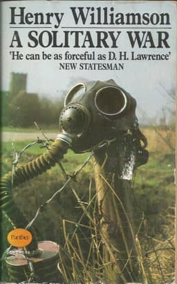 A Solitary War 9780586028445