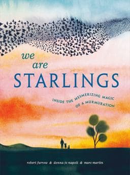 We Are Starlings 9780593381649