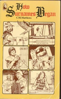 How Surnames Began 9780600345350