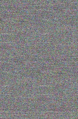 Storm Chasers 9780613017459