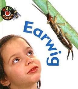Earwig 9780613614191