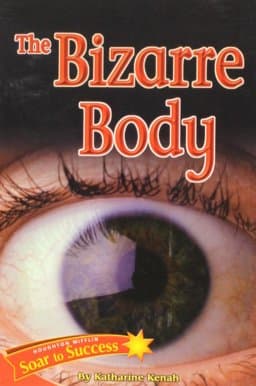 Houghton Mifflin Reading Intervention 9780618932917