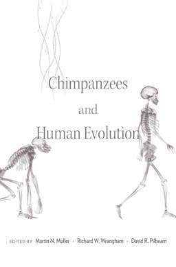 Chimpanzees and Human Evolution 9780674967953