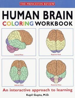 Human Brain Coloring Workbook 9780679778851
