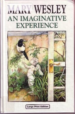 An Imaginative Experience 9780708988480