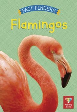 Flamingos 9780711273139