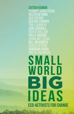 Small World, Big Ideas 9780711275379