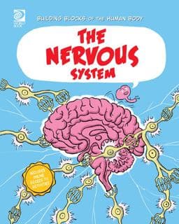 The Nervous System 9780716650690