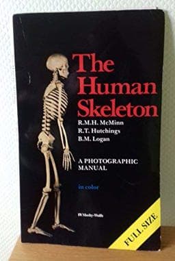 Human Skeleton 9780723409588