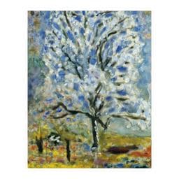Bonnard Keepsake Box of Notecards 9780735347311