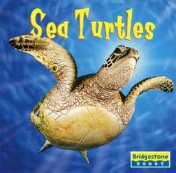 Sea Turtles 9780736854238