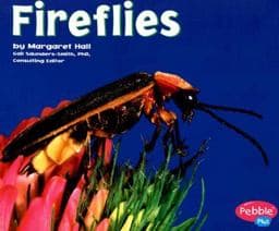 Fireflies 9780736861267