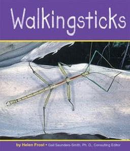 Walkingsticks 9780736890892