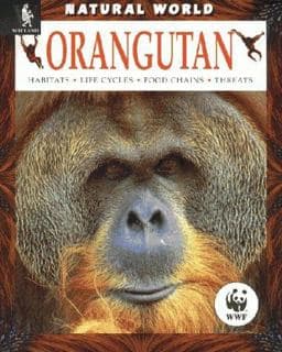 Orangutan 9780750226905