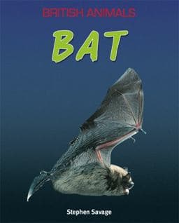 Bat. Stephen Savage 9780750269179