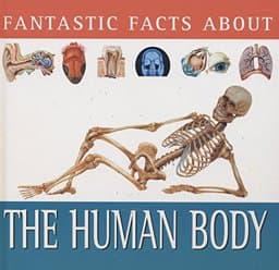 Human Body - Group 1 9780752548784