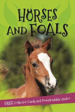 It's All about... Horses and Foals 9780753474129