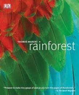 Rainforest 9780756665999
