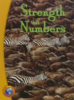 Strength in Numbers 9780757857782