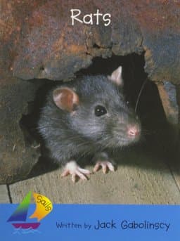 Rigby Sails Early 9780757899584