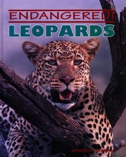 Leopards 9780761402237