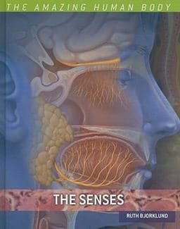 The Senses 9780761440437