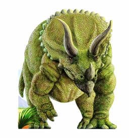 Triceratops 9780764168062