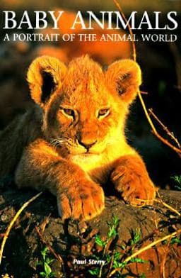 Baby Animals 9780765199645