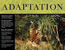 Adaptation 9780768235517