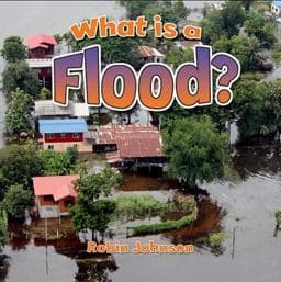 What Is a Flood? 9780778723967