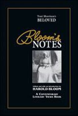 Toni Morrison's Beloved 9780791045169
