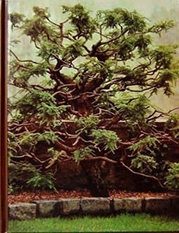 Pruning and Grafting 9780809426355