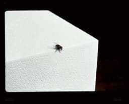 Modern Contemporary 9780810962149