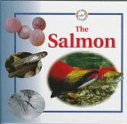 The Salmon 9780817243715