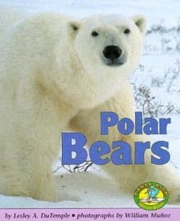 Polar Bears 9780822530251