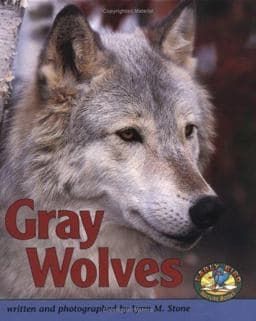 Gray Wolves 9780822530503