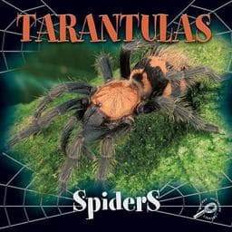 Tarantulas 9780824951436