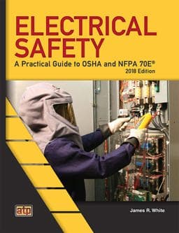 Electrical Safety 9780826935939