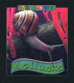 Mollusks 9780836845075