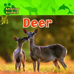 Deer 9780836891157