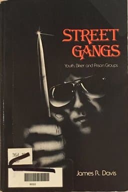 Street Gangs 9780840327505