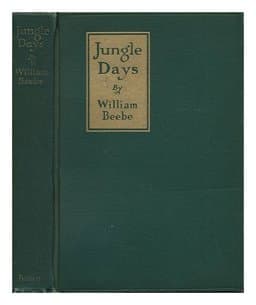 Jungle Days 9780848273903