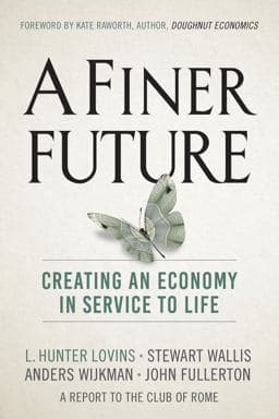 A Finer Future 9780865718982