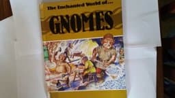 Gnomes 9780865923171