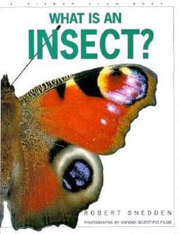 What Is an Insect? 9780871565402