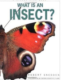 What Is an Insect? 9780871569233