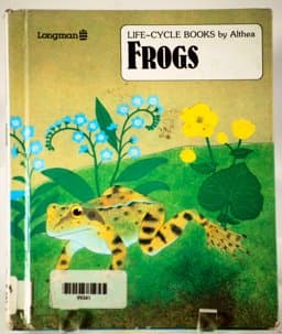 Frogs 9780884621881