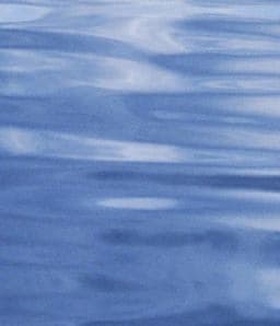 Microwaves 9780944904664