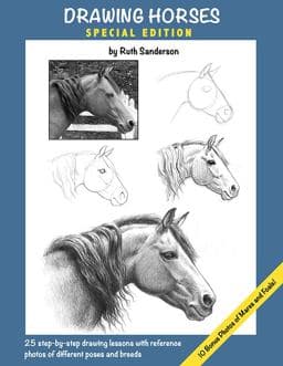 Drawing Horses 9780967290232
