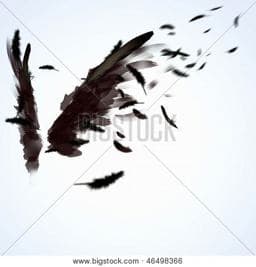 Broken Wing 9780983573142